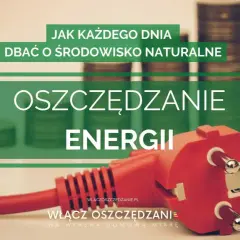 Jak oszczędzać energię? W tle stosy monet i czerwona wtyczka symbolizują oszczędzanie energii dla dobra środowiska.