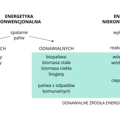 Odnawialne źródła energii w Polsce to biopaliwa, biomasa, biogazy, paliwa z odpadów, a także energia wiatru, słońca i ciepła otoczenia.
