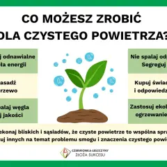 Zastosuj ekologiczne źródła energii, sadź drzewa i dbaj o czyste powietrze.