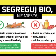 Gdzie wyrzucać resztki jedzenia? Obierki warzyw, fusy kawy i herbaty do BIO. Kości, ryby i mięso do zmieszanych.