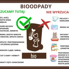 Gdzie wyrzucać mięso i kości? Do bio! Obierki, resztki warzyw, owoców, fusy z kawy i herbaty, skorupki jajek, kwiaty. Nie: pieluchy, środki higieniczne, odchody zwierząt, leki.