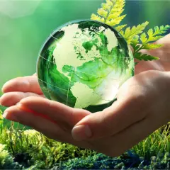 Dłonie trzymające zieloną kulę ziemską, otoczone roślinnością. To piękne przykłady ochrony środowiska i troski o naszą planetę.