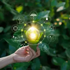 Dłoń trzyma żarówkę z zielonymi liśćmi, otoczoną ikonami symbolizującymi zrodla energii odnawialnej: słońce, wiatr, woda, biomasa.