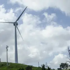 Wiatrak na wzgórzu symbolizuje rozwój energii odnawialnej w Polsce.