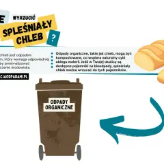 Spleśniały chleb to odpad organiczny. Gdzie wyrzucić spleśniały chleb? Do brązowego pojemnika na odpady organiczne, wspierając naturalny cykl.