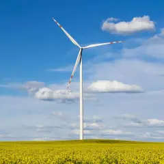 Wiatrak na tle błękitnego nieba z chmurami, pośród kwitnącego na żółto pola. To obraz branży OZE, co to jest energia odnawialna.