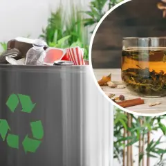 Kosz na śmieci z symbolem recyklingu i filiżanka herbaty. Zastanawiasz się, gdzie wyrzucać fusy po kawie?