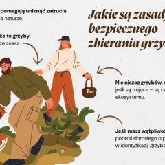 Para ilustruje zasady bezpiecznego zbierania grzybów. Mężczyzna i kobieta w lesie zbierają grzyby do koszyków, ucząc się, jak zbieramy grzyby.