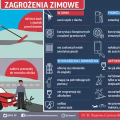 Zimowe zagrożenia: odśnieżaj, dbaj o ogrzewanie, nie zasłaniaj wentylacji. Czy osy przeżywają zimę? Zadbaj o zwierzęta i siebie.