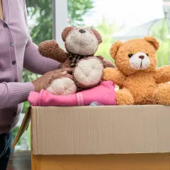 Gdzie bezpiecznie oddać pluszaki: 5 sprawdzonych organizacji charytatywnych