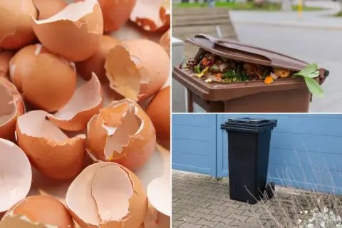 Skorupki po jajkach, resztki warzyw w brązowym koszu i czarny pojemnik na śmieci. Dowiedz się, gdzie wyrzucać skorupki po jajkach.