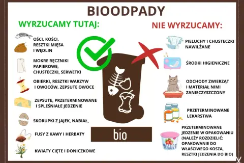 Gdzie wyrzucać mięso i kości? Do bio! Obierki, resztki warzyw, owoców, fusy z kawy i herbaty, skorupki jajek, kwiaty. Nie: pieluchy, środki higieniczne, odchody zwierząt, leki.