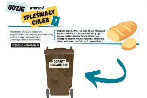 Spleśniały chleb to odpad organiczny. Gdzie wyrzucić spleśniały chleb? Do brązowego pojemnika na odpady organiczne, wspierając naturalny cykl.
