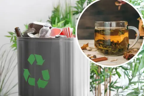 Kosz na śmieci z symbolem recyklingu i filiżanka herbaty. Zastanawiasz się, gdzie wyrzucać fusy po kawie?