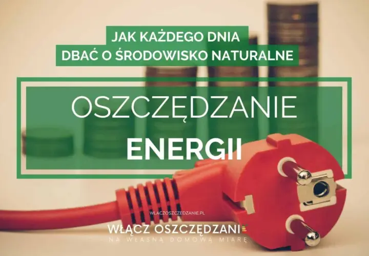 Jak oszczędzać energię? W tle stosy monet i czerwona wtyczka symbolizują oszczędzanie energii dla dobra środowiska.