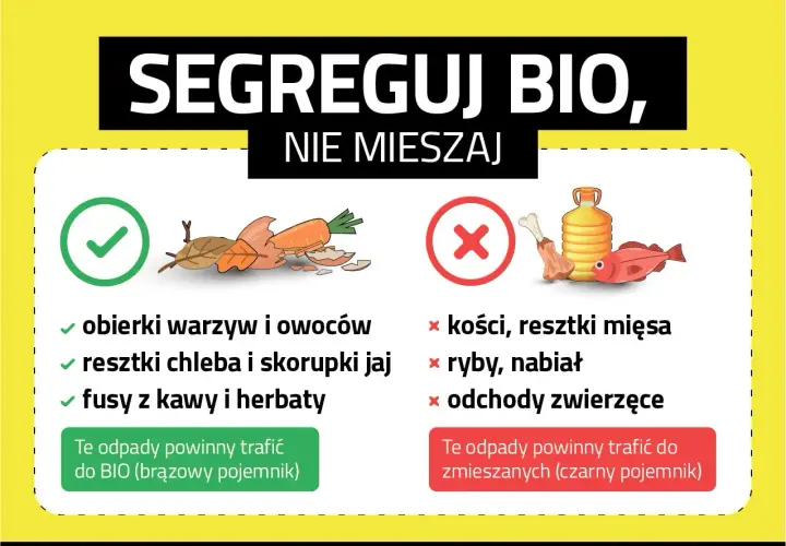 Gdzie wyrzucać resztki jedzenia? Obierki warzyw, fusy kawy i herbaty do BIO. Kości, ryby i mięso do zmieszanych.