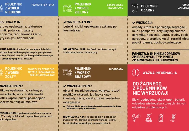Przewodnik segregacji odpadów: do jakiego kosza puszki, papier, szkło, plastik, bio i zmieszane.
