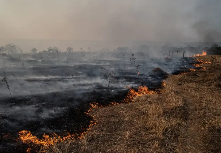 Płonące trawy i dym unoszący się nad spalonym terenem, symbolizujące przyczyny efektu cieplarnianego.
