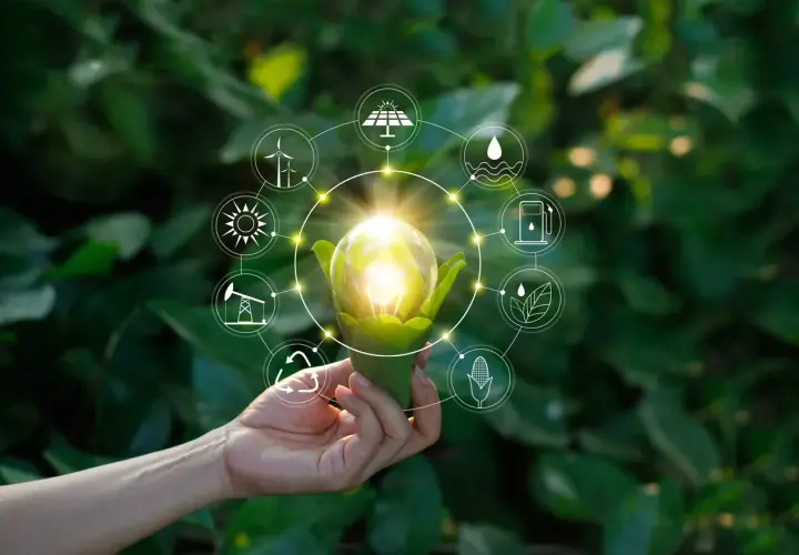 Dłoń trzyma żarówkę z zielonymi liśćmi, otoczoną ikonami symbolizującymi zrodla energii odnawialnej: słońce, wiatr, woda, biomasa.