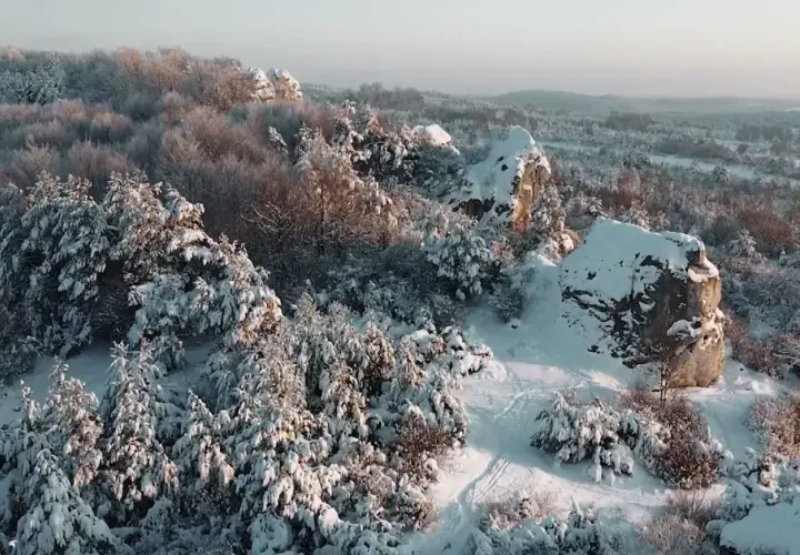 7 zimowych trików z Jury na smog i czyste płuca