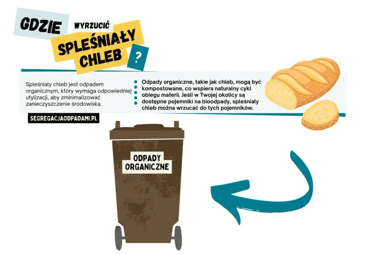 Spleśniały chleb to odpad organiczny. Gdzie wyrzucić spleśniały chleb? Do brązowego pojemnika na odpady organiczne, wspierając naturalny cykl.