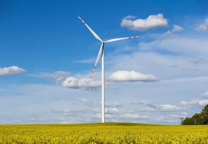 Wiatrak na tle błękitnego nieba z chmurami, pośród kwitnącego na żółto pola. To obraz branży OZE, co to jest energia odnawialna.