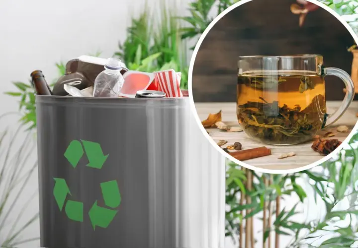 Kosz na śmieci z symbolem recyklingu i filiżanka herbaty. Zastanawiasz się, gdzie wyrzucać fusy po kawie?