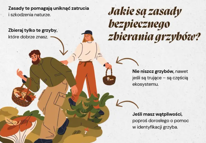 Para ilustruje zasady bezpiecznego zbierania grzybów. Mężczyzna i kobieta w lesie zbierają grzyby do koszyków, ucząc się, jak zbieramy grzyby.