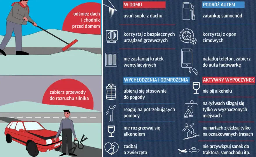 Osy zimą - Kto przeżywa mrozy i gdzie? Cała prawda