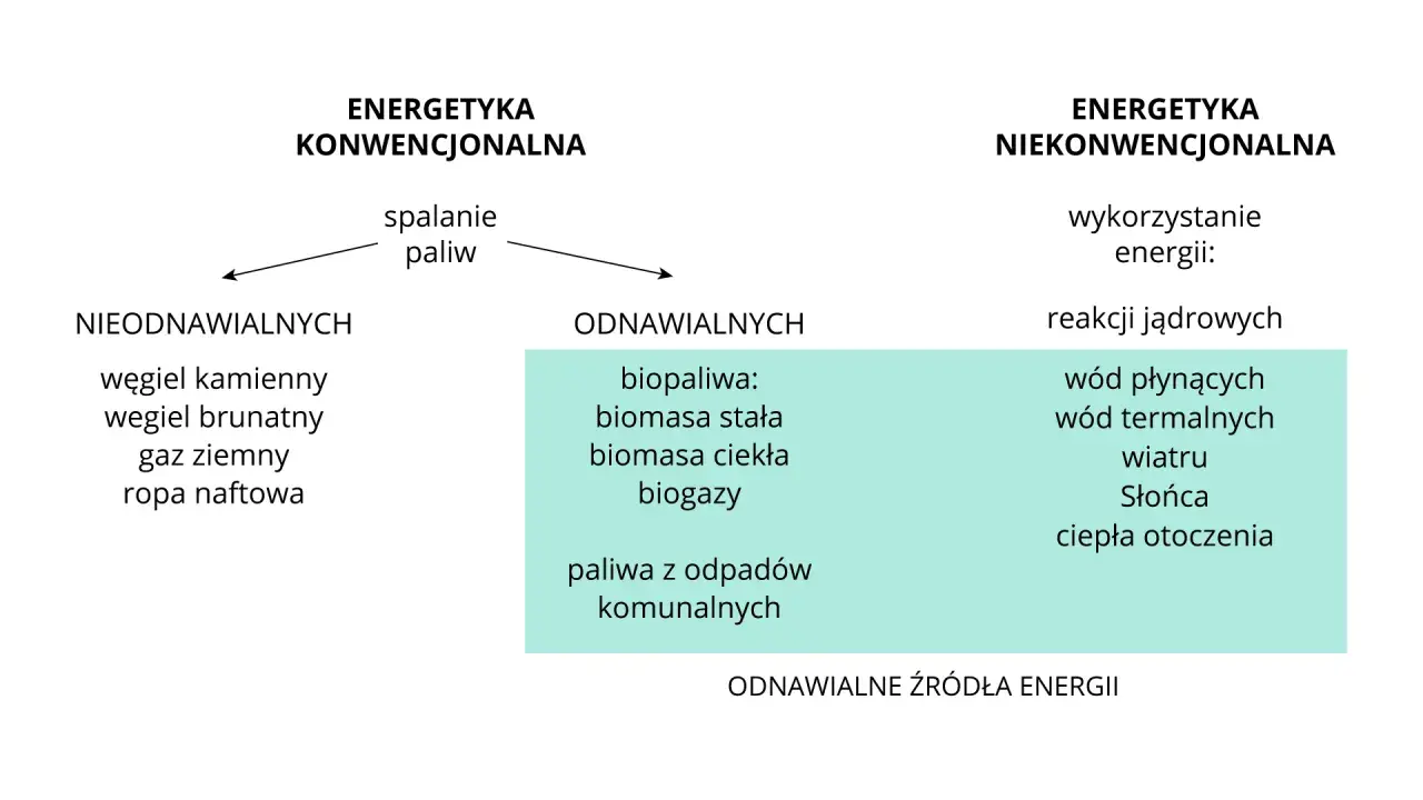 Odnawialne źródła energii w Polsce to biopaliwa, biomasa, biogazy, paliwa z odpadów, a także energia wiatru, słońca i ciepła otoczenia.