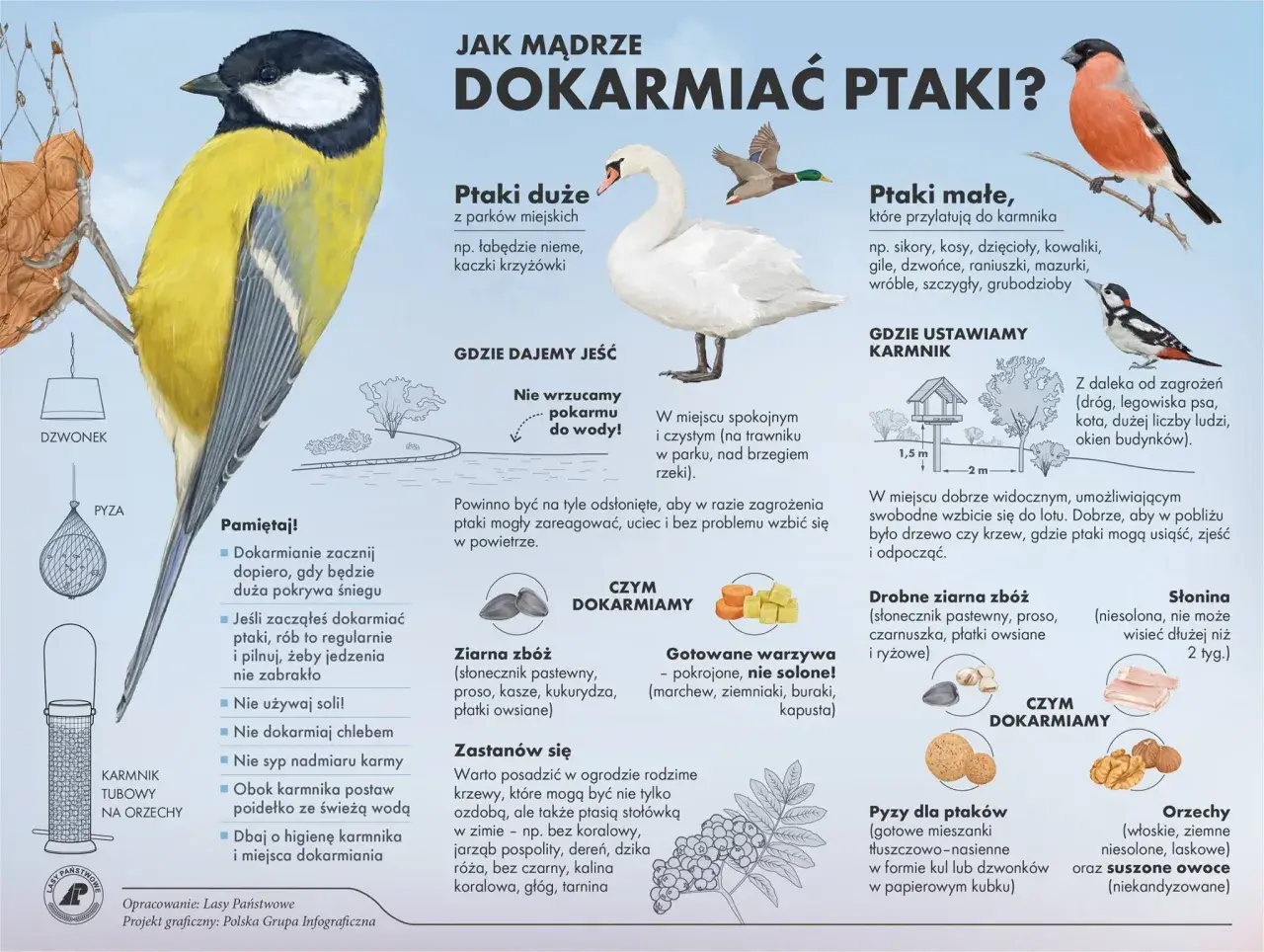 Ilustracja pokazuje, gdzie są gołębie zimą: w parkach, nad brzegiem rzeki, na trawniku. Podpowiada, jak mądrze dokarmiać ptaki.