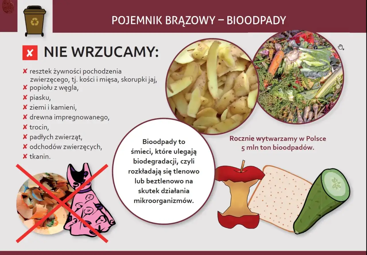 Nie wrzucaj do brązowego pojemnika: resztek zwierzęcych, popiołu, piasku, ziemi, drewna impregnowanego, trocin, padłych zwierząt, odchodów, tkanin.