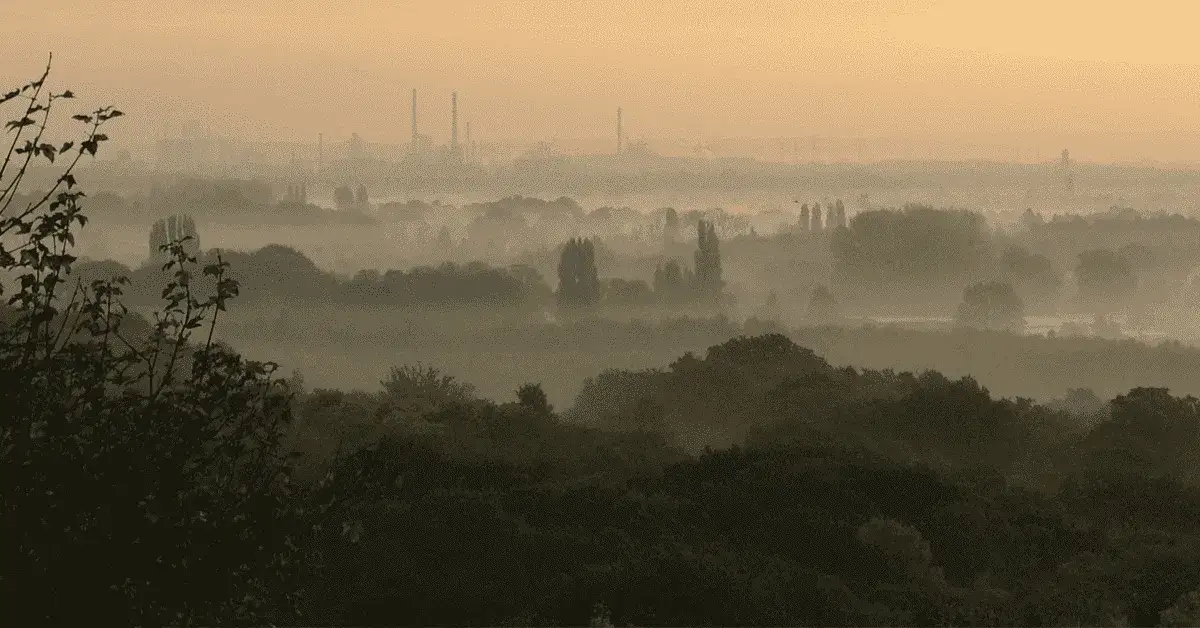 Zdjęcie Smog do którego piętra? Najlepsze piętra dla czystszego powietrza