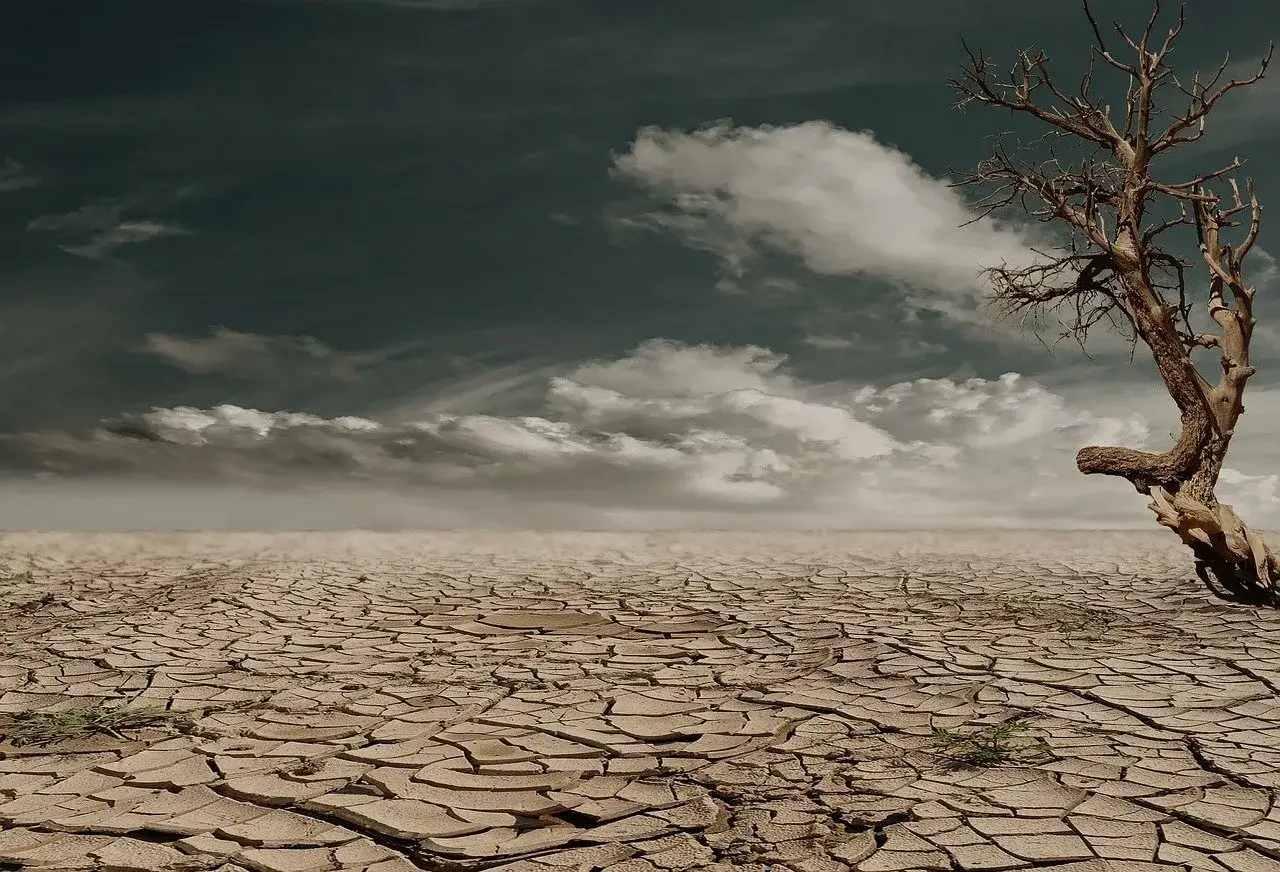 Pustynia z popękaną ziemią i uschniętym drzewem. Dramatyczne chmury na niebie podkreślają skutki zmian klimatu.